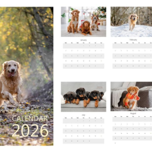 Calendars & Corporate Giveaways