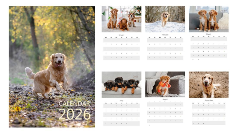 Calendars & Corporate Giveaways